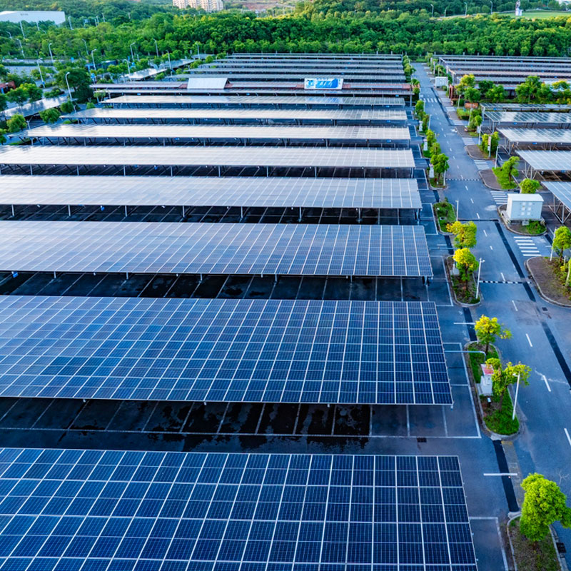 dien nang luong hoa luoi bam tai